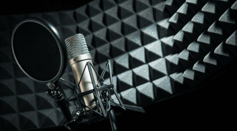Studio Grade Microporous Acoustic Sponge